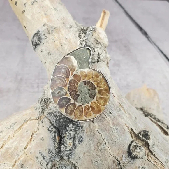 Ammonite Fossil Shell with Silver Plating - Picture 8 of 15